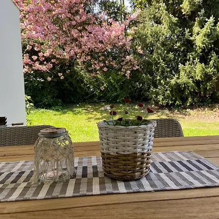Ferienwohnung Am Bruhl Mit Terrasse Und Garten 아파트